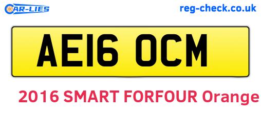 AE16OCM are the vehicle registration plates.