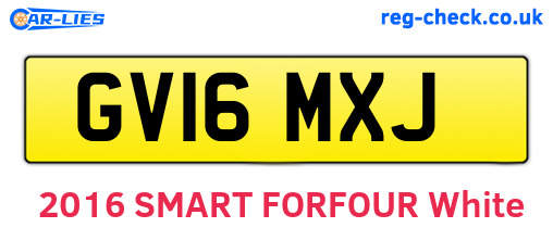 GV16MXJ are the vehicle registration plates.