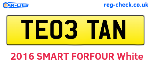 TE03TAN are the vehicle registration plates.