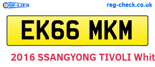 EK66MKM are the vehicle registration plates.