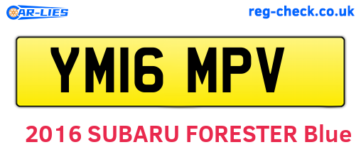 YM16MPV are the vehicle registration plates.