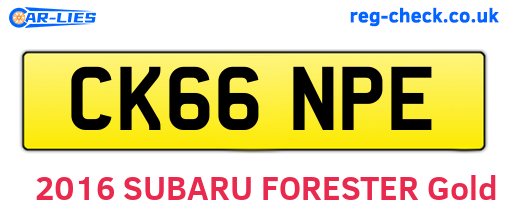 CK66NPE are the vehicle registration plates.