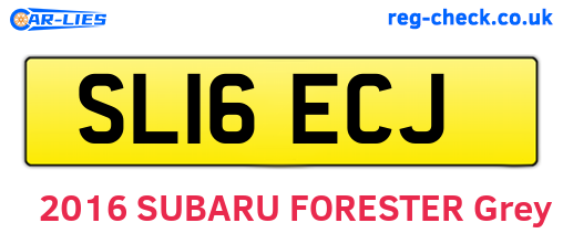 SL16ECJ are the vehicle registration plates.