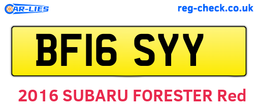 BF16SYY are the vehicle registration plates.