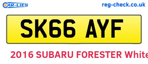SK66AYF are the vehicle registration plates.