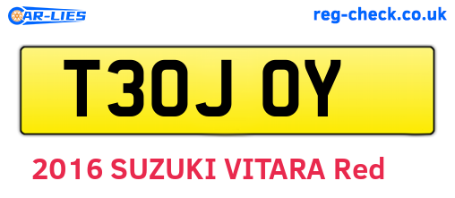 T30JOY are the vehicle registration plates.