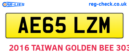AE65LZM are the vehicle registration plates.