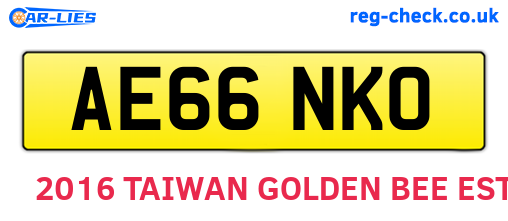 AE66NKO are the vehicle registration plates.