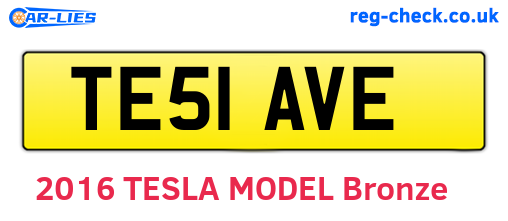 TE51AVE are the vehicle registration plates.