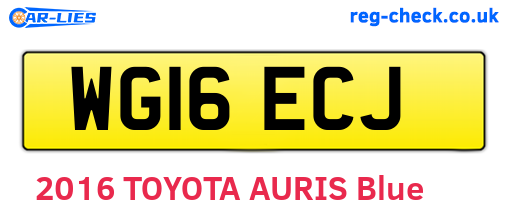 WG16ECJ are the vehicle registration plates.