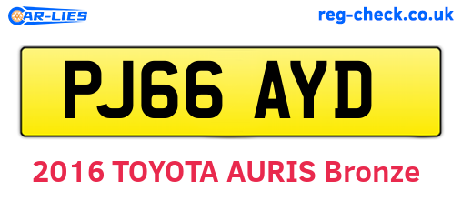 PJ66AYD are the vehicle registration plates.