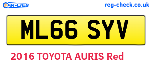 ML66SYV are the vehicle registration plates.