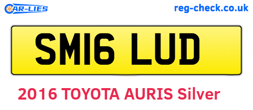 SM16LUD are the vehicle registration plates.