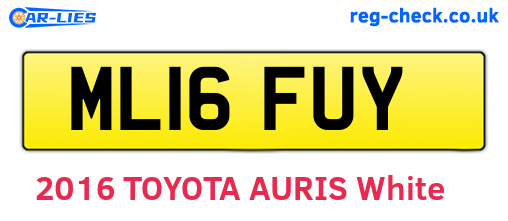 ML16FUY are the vehicle registration plates.