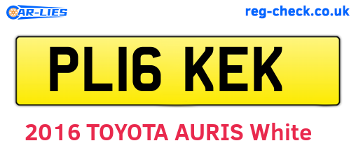 PL16KEK are the vehicle registration plates.