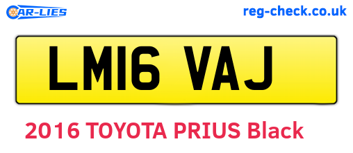 LM16VAJ are the vehicle registration plates.