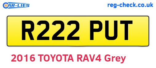 R222PUT are the vehicle registration plates.