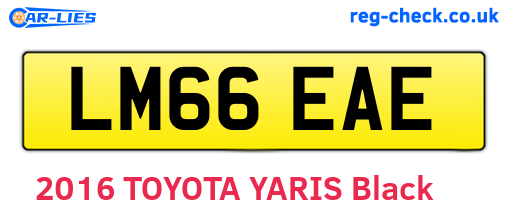 LM66EAE are the vehicle registration plates.