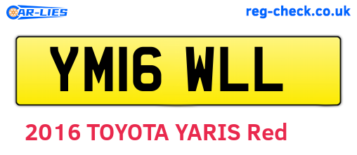 YM16WLL are the vehicle registration plates.