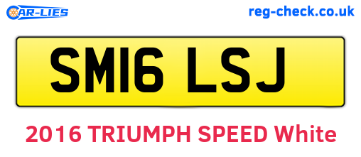 SM16LSJ are the vehicle registration plates.