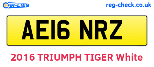 AE16NRZ are the vehicle registration plates.