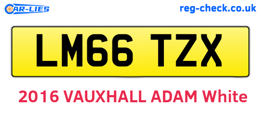 LM66TZX are the vehicle registration plates.