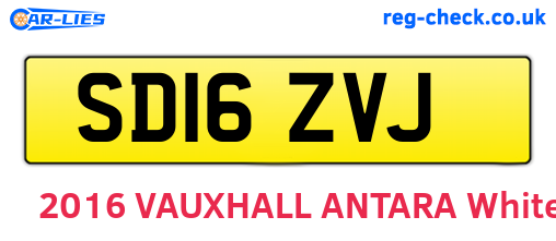 SD16ZVJ are the vehicle registration plates.
