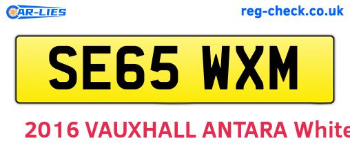 SE65WXM are the vehicle registration plates.