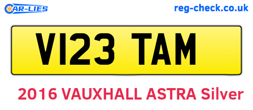 V123TAM are the vehicle registration plates.