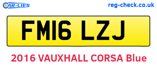 FM16LZJ are the vehicle registration plates.