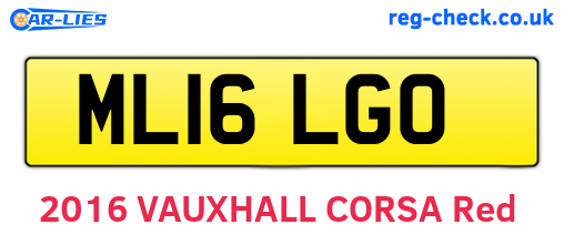 ML16LGO are the vehicle registration plates.