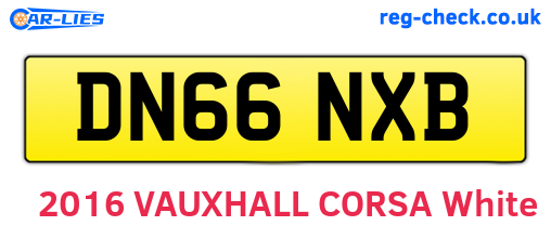 DN66NXB are the vehicle registration plates.