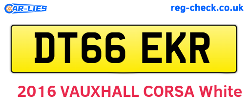 DT66EKR are the vehicle registration plates.