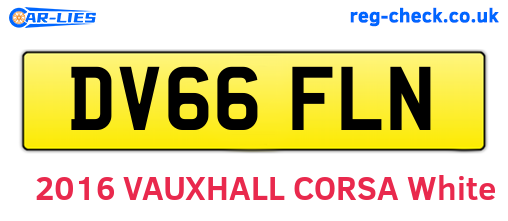 DV66FLN are the vehicle registration plates.
