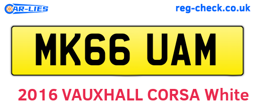 MK66UAM are the vehicle registration plates.
