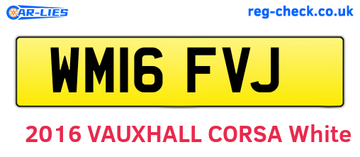 WM16FVJ are the vehicle registration plates.