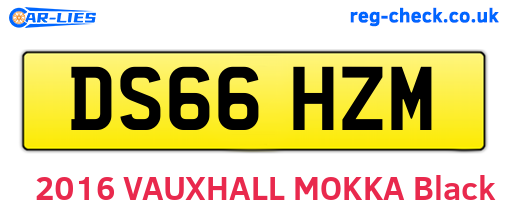 DS66HZM are the vehicle registration plates.