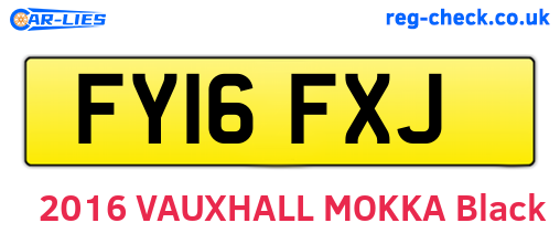 FY16FXJ are the vehicle registration plates.