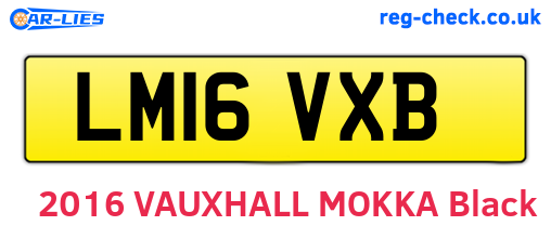 LM16VXB are the vehicle registration plates.
