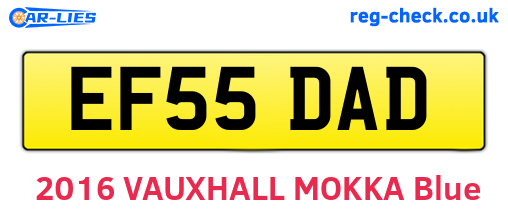EF55DAD are the vehicle registration plates.