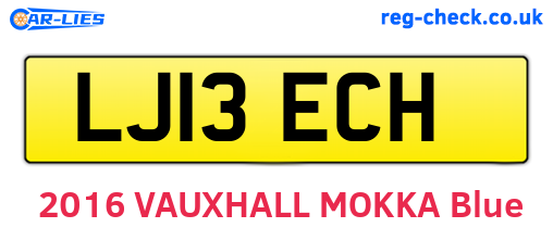 LJ13ECH are the vehicle registration plates.
