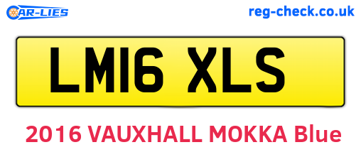LM16XLS are the vehicle registration plates.