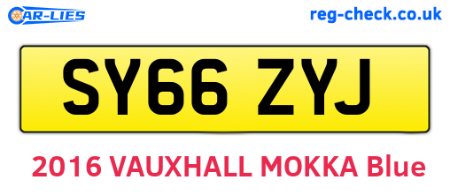 SY66ZYJ are the vehicle registration plates.