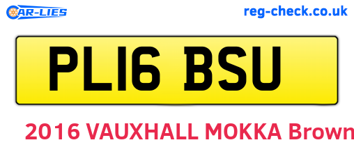 PL16BSU are the vehicle registration plates.