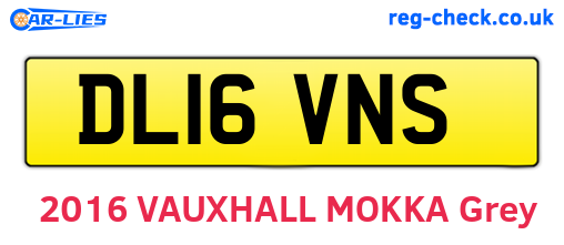 DL16VNS are the vehicle registration plates.