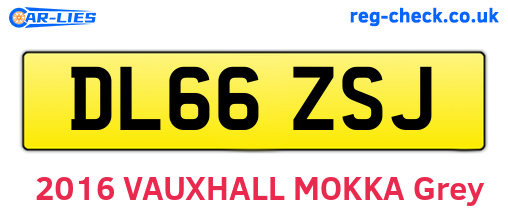 DL66ZSJ are the vehicle registration plates.