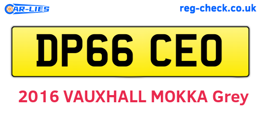 DP66CEO are the vehicle registration plates.