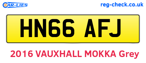 HN66AFJ are the vehicle registration plates.