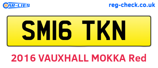 SM16TKN are the vehicle registration plates.