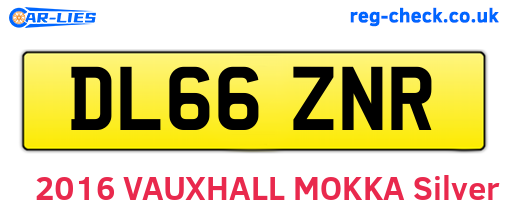 DL66ZNR are the vehicle registration plates.
